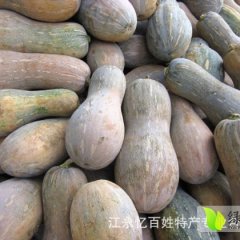 “蜜本南瓜” (河南焦作）1季沙地瓜，超甜！