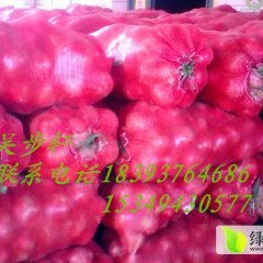 甘肃靖远红皮洋葱价格掉了