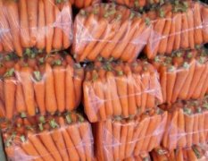 山东平度三红萝卜品种高 跑高端市场