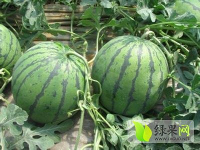 京欣价格
