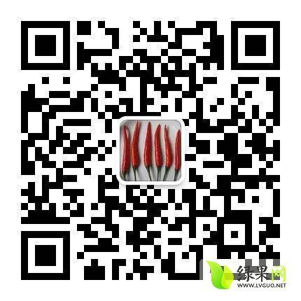 2014年广西西乡塘辣椒种子价格