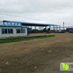 辽宁新民早大白：大民屯栾大伟