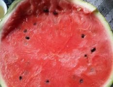 山东平度京欣：明村镇张本英