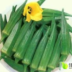 湖北江夏北美秋葵：郑店街向浩