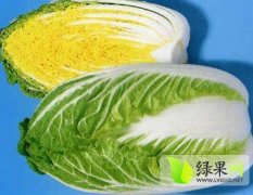 河北省张家口市蔚县草沟堡蔬菜供应精品大白菜