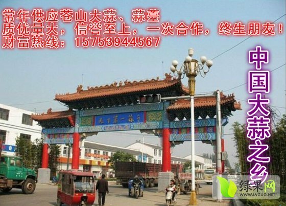 2014年山东兰陵苍山蒜薹价格