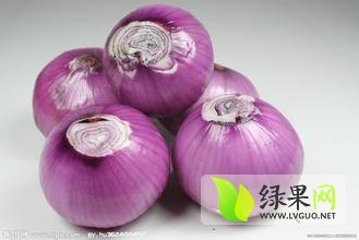 山东昌邑红皮洋葱即将上市