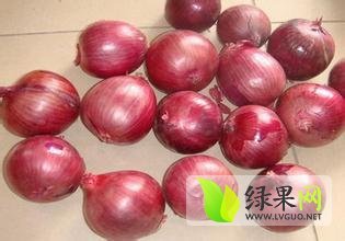 山东单县有五百吨笨红皮洋葱 质量好价格优