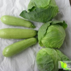 山西榆次中甘21甘蓝上市量大 价格低