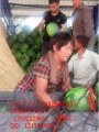 河南金明京欣：榆园西安福田
