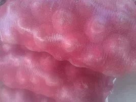 河南博爱红皮洋葱：蒋村蔬张自强