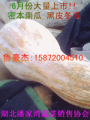 2014年湖北嘉鱼密本南瓜价格