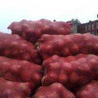 河南通许有大量红皮洋葱和土豆