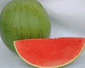 陕西大荔花皮无籽西瓜10号开始有量