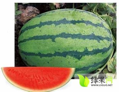 冠龙价格