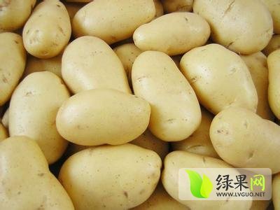 2014年山东平度荷兰十五价格