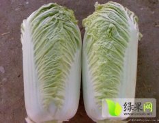 河北定州北京新三号白菜批发市场