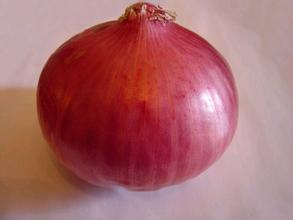 陕西杨陵自家种植三亩红皮洋葱 现己成熟欲出售