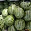 河南开封县京欣：范村西杜辉