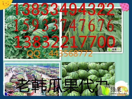 2014年河北清苑京欣价格