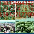 河北清苑京欣：蒋庄村韩老板