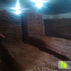 山东定陶铁棍山药：沙海张业彬