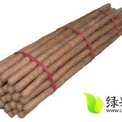 山东定陶铁棍山药：陈集镇张国良