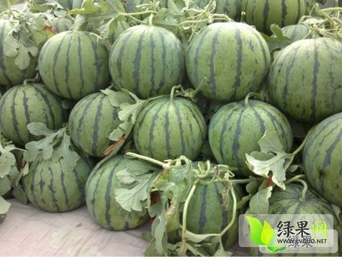 京欣价格