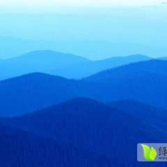 山西盐湖美脆桃现在正上市量大