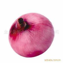 山东单县红皮洋葱产地交通方便 上市量大