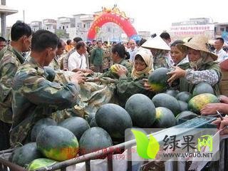 麒麟西瓜价格