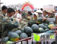 广西江州区大量供应小麒麟西瓜