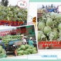 山东东明京欣质优价廉