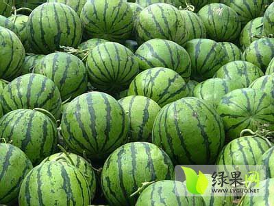 2014年内蒙古库伦旗京欣价格