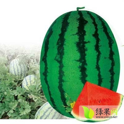 安农二号价格