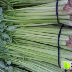 山东东昌府供应山芹量大