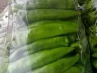 河南金牛角 河南省马伟