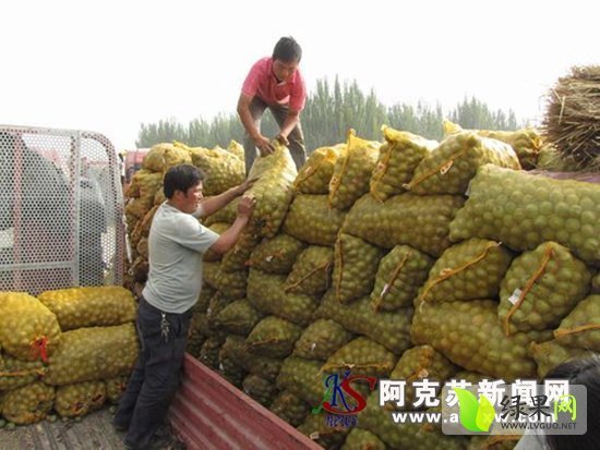 香玲核桃价格