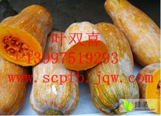 2014年湖北嘉鱼密本南瓜价格