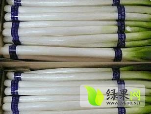 山东即墨铁杆大葱 移风店孙志明