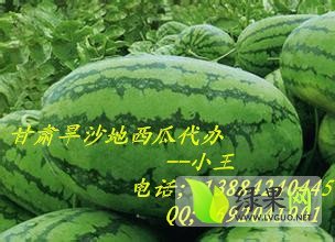 丰抗，金花价格
