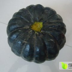 河北沽源黑皮南瓜、马铃薯、娃娃菜