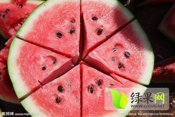 2014年山东金乡新红宝价格