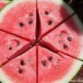 大量供应黑花、青花皮西瓜、黑旋风、王中王、京欣、
