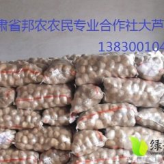 甘肃靖远克新一号 大芦乡葛务虎