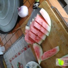 甘肃会宁硒砂瓜：郭城镇张学姮