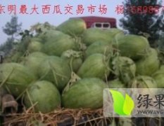 山东东明庆红宝 山东省杨克俭