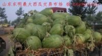 山东东明庆红宝 山东省杨克俭