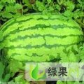 内蒙古翁牛特旗冠龙：桥头镇李杰
