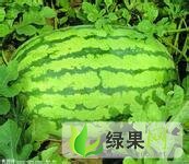 内蒙古翁牛特旗冠龙：桥头镇李杰